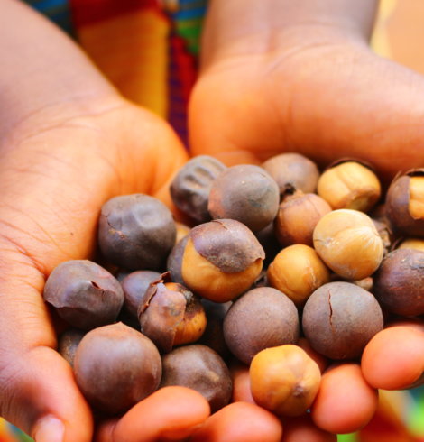L’African Herbal Beauty Program, ou comment l’Afrique se réapproprie enfin ses trésors